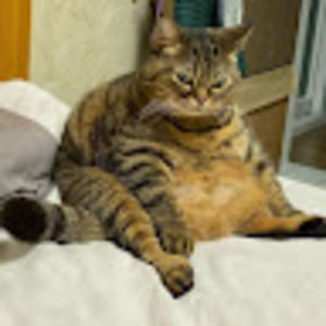 Meet your Posher, Ain